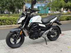 CFMOTO ST Baboon 125 cc - фото 4