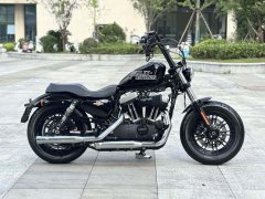Harley-Davidson Forty-Eight athlete 1202 cc - фото 2
