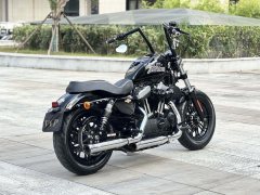Harley-Davidson Forty-Eight athlete 1202 cc - фото 3