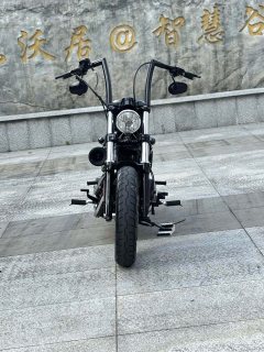 Harley-Davidson Forty-Eight athlete 1202 cc - фото 4