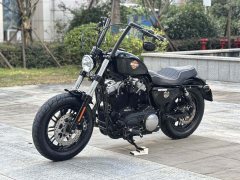Harley-Davidson Forty-Eight athlete 1202 cc - фото 5