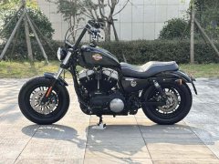Harley-Davidson Forty-Eight athlete 1202 cc - фото 8