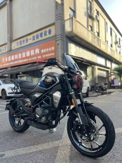 CFMOTO 250CL-X - фото 1