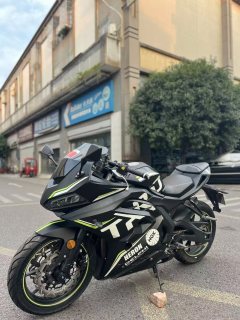 Tairong GP2-200R - фото 2
