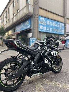 Tairong GP2-200R - фото 4