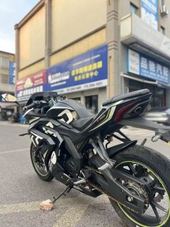 Tairong GP2-200R - фото 5