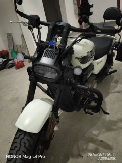 QJMOTOR Flash 350 - фото 3