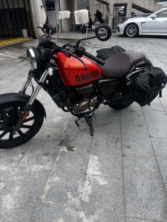 QJMOTOR Flash 150 - фото 2