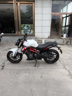 Benelli TNT 300 / BN 302S - фото 8