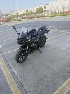 QJMOTOR SRK 250 - фото 2