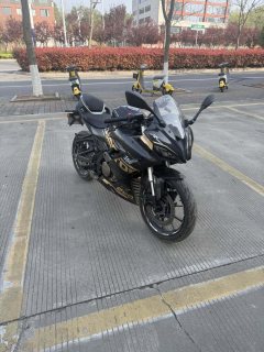 QJMOTOR SRK 250 - фото 3