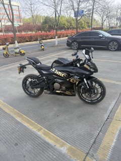 QJMOTOR SRK 250 - фото 4