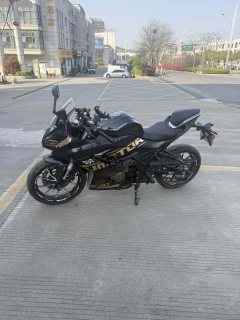 QJMOTOR SRK 250 - фото 5