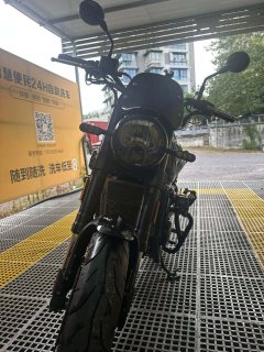Benelli Lion Cub Leoncino 500 - фото 1