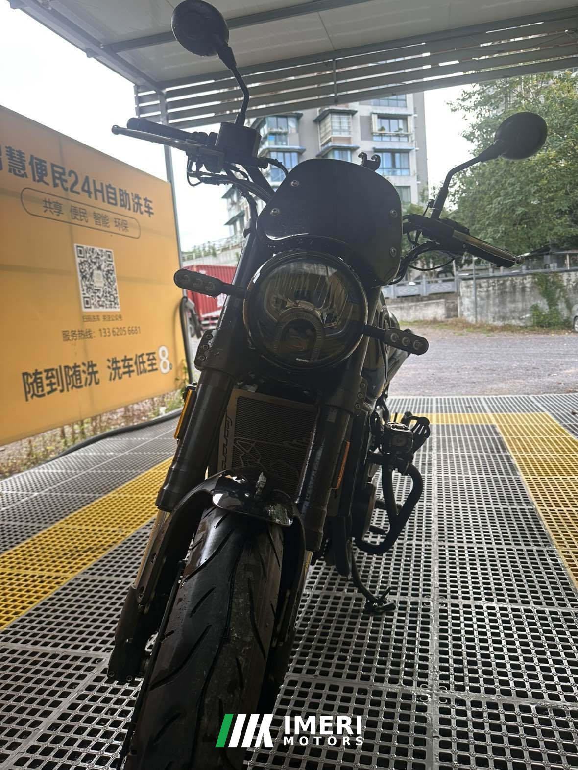 2019 Benelli Lion Cub Leoncino 500