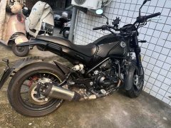 Benelli Lion Cub Leoncino 500 - фото 3