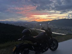 Benelli Lion Cub Leoncino 500 - фото 4