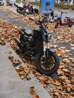 QJMOTOR 300 - фото 2