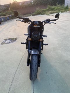 Benelli Leoncino 250 - фото 2