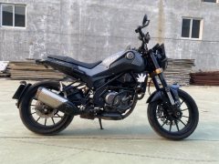 Benelli Leoncino 250 - фото 4