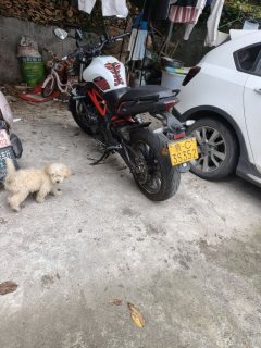 Benelli TNT 300 / BN 302S - фото 2