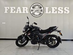 Haojue DR150 - фото 3