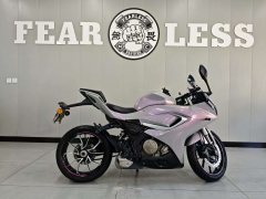 QJMOTOR SRK 250 - фото 1