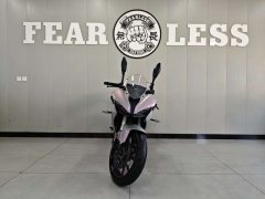QJMOTOR SRK 250 - фото 2