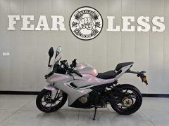 QJMOTOR SRK 250 - фото 3