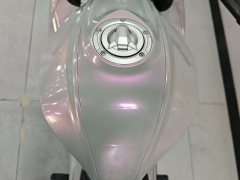 QJMOTOR SRK 250 - фото 6