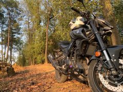 Yamaha MT-03 320 cc - фото 3