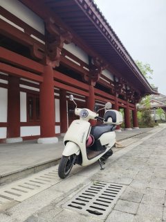 Sundiro Honda NS125LA - фото 2