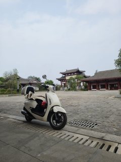 Sundiro Honda NS125LA - фото 3