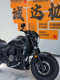 Haojue TR300 - фото 6