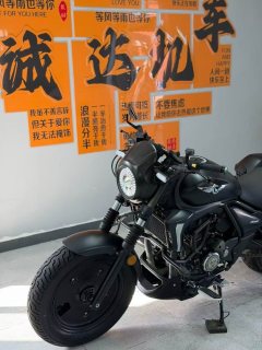 Haojue TR300 - фото 7