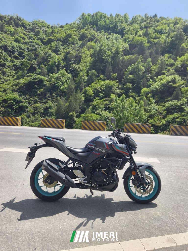 2024 Yamaha MT-03 320 cc
