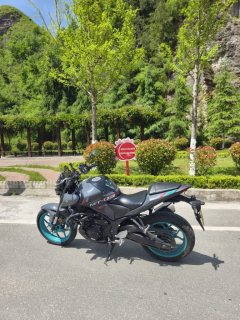 Yamaha MT-03 320 cc - фото 2