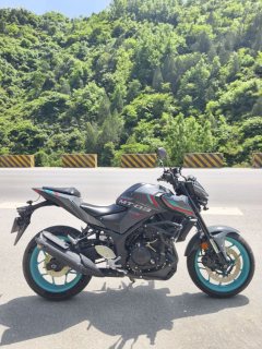 Yamaha MT-03 320 cc - фото 3