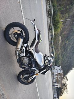 QJMOTOR Escape 550 - фото 4