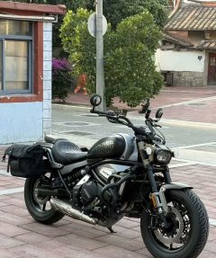 QJMOTOR 700 - фото 1