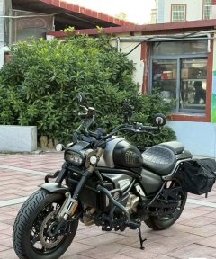 QJMOTOR 700 - фото 2