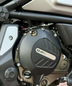 QJMOTOR 700 - фото 4