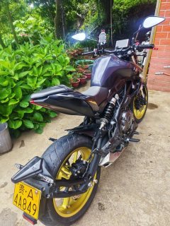 QJMOTOR 350 - фото 2