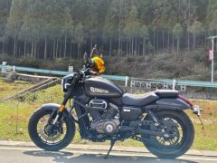 QJMOTOR 250 - фото 3
