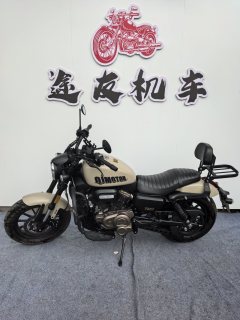 QJMOTOR 300 - фото 1