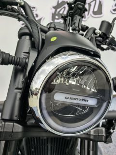 QJMOTOR 300 - фото 6