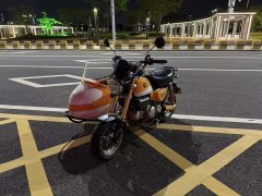Stoner Monkey 125 Sidecar - фото 2