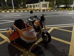 Stoner Monkey 125 Sidecar - фото 3