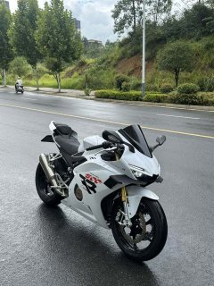 Zhangxue Motorcycles 500RR - фото 4