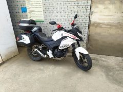 Sundiro Honda CBF190X - фото 3